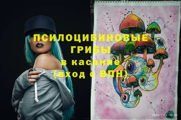 прущие грибы Надым