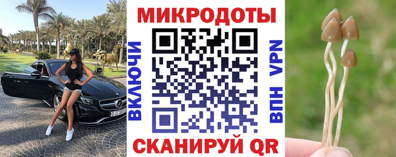 Псилоцибиновые грибы Psilocybe  Нефтекамск 